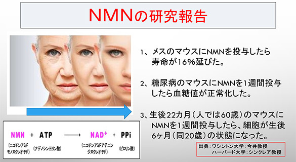 NMNの研究報告(ハーバード大学医学部 デビッド・シンクレア教授)
