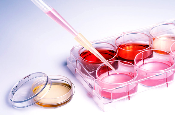 リジュフィラー(幹細胞培養上清液フィラー)