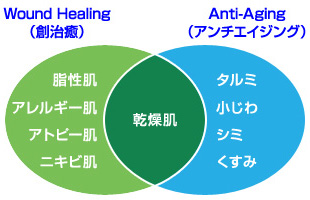 ワップトリートメントプログラム