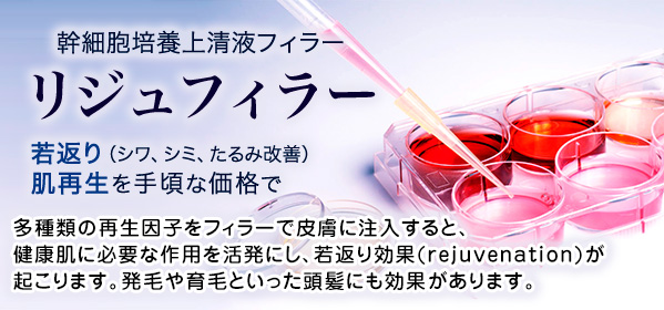リジュフィラー（幹細胞培養上清液フィラー）