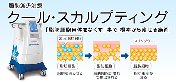 クール・スカルプティング（脂肪減少治療／ボディ・コントゥアリング）